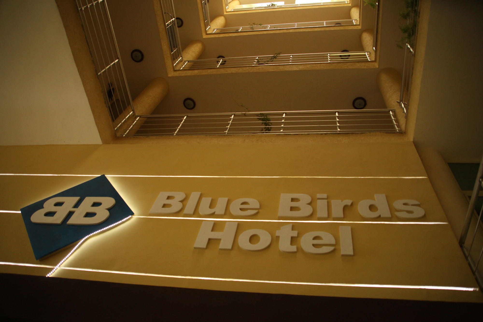 Blue Birds International Hotel Addis Abeba Exterior foto